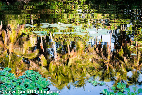 Steve Gould Photography